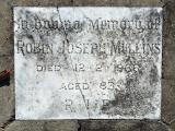 image of grave number 594051